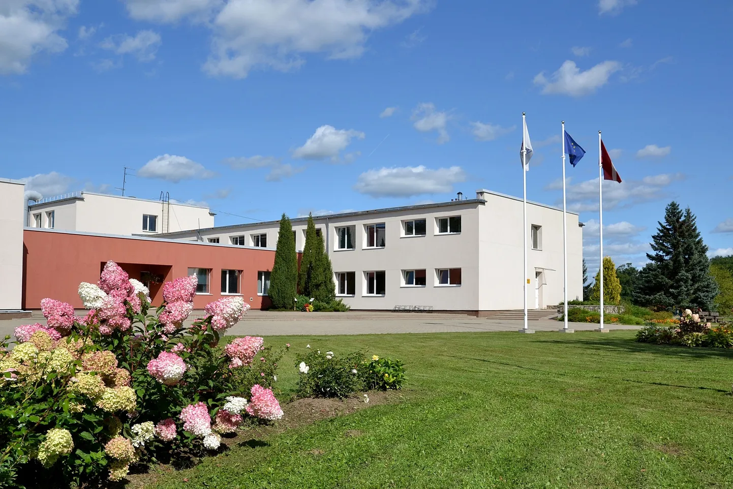 Raksta foto