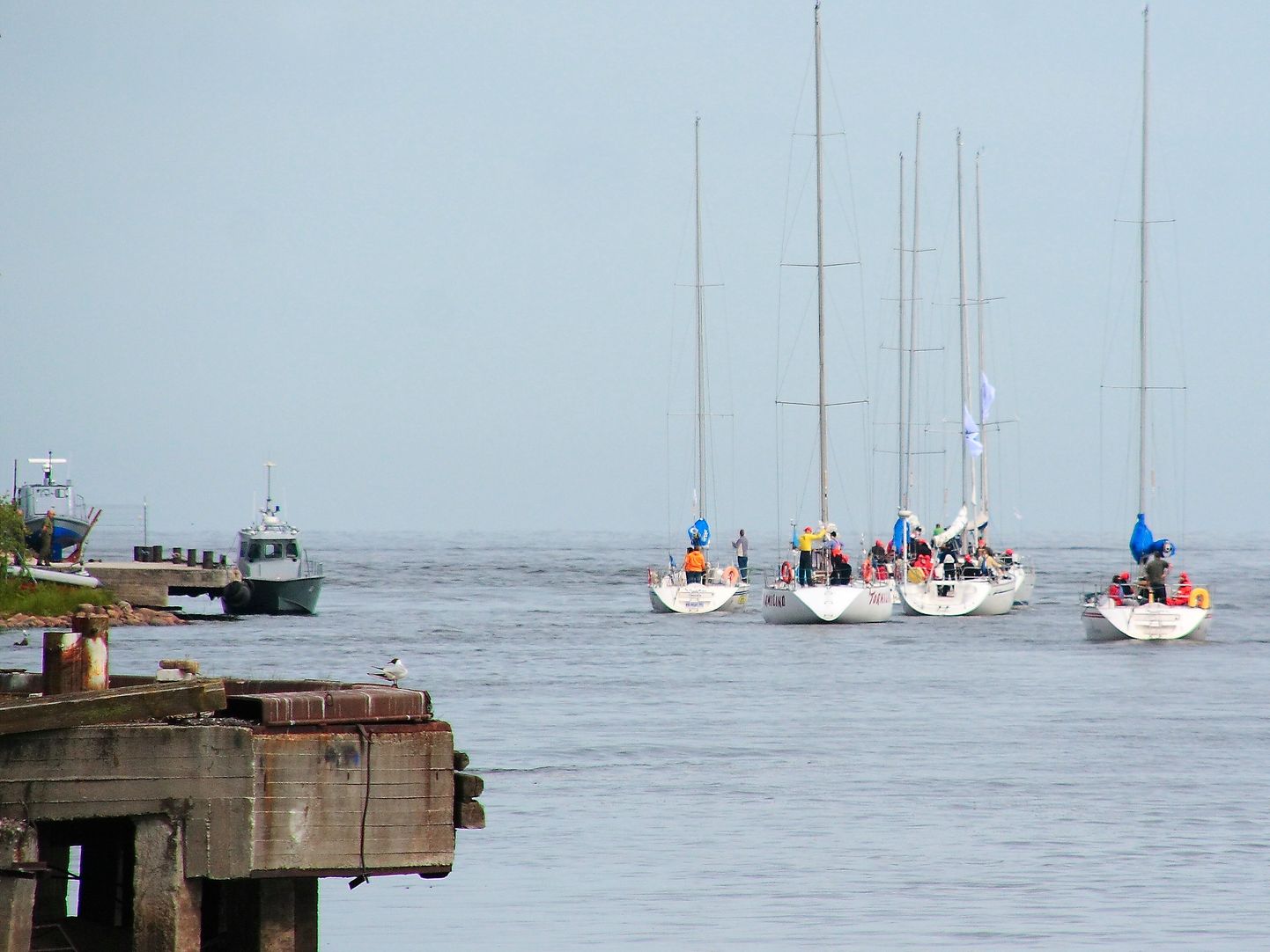 Laupäeval purjetavad Põhjaranniku regatist osavõtjad Toilast Narva-Jõesuu jahtklubi sadamasse.