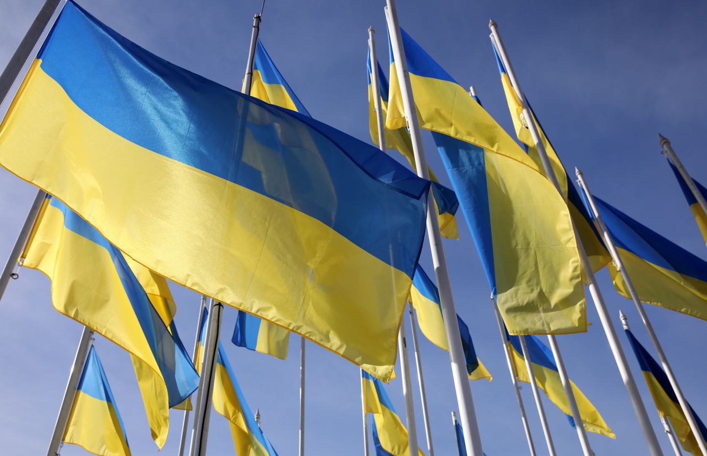 Ukrainas karogi laukumā pie Rīgas Kongresu nama.