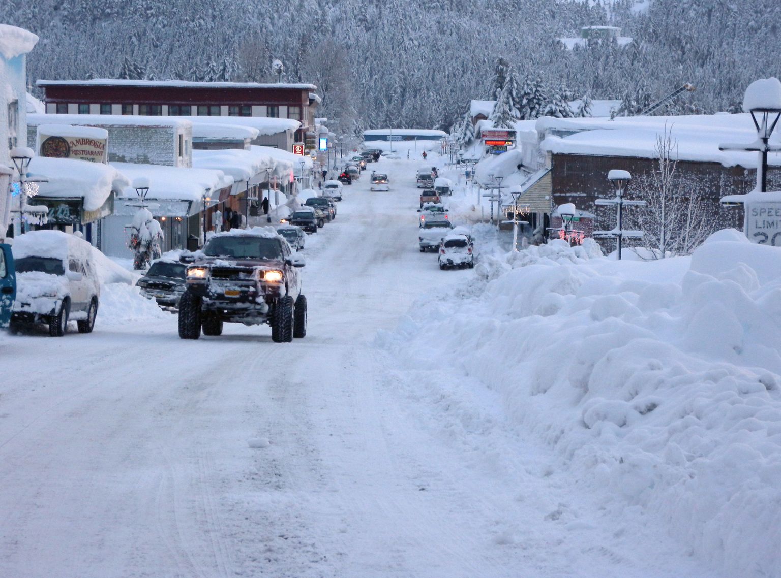 Paks lumi sunnib Alaska põtru liikuma maanteedele, raudteedele ja linnadesse