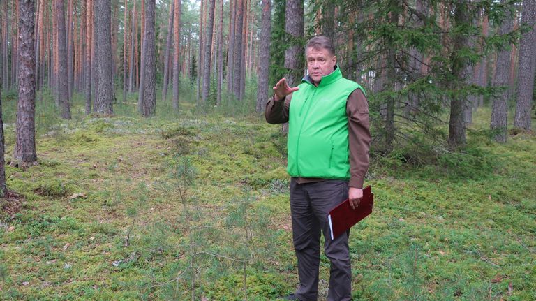 RMK arvuka esinduse hulgast võttis vastuste andmise enda kanda Põlvamaa metskonna metsaülem Tiit Timberg.