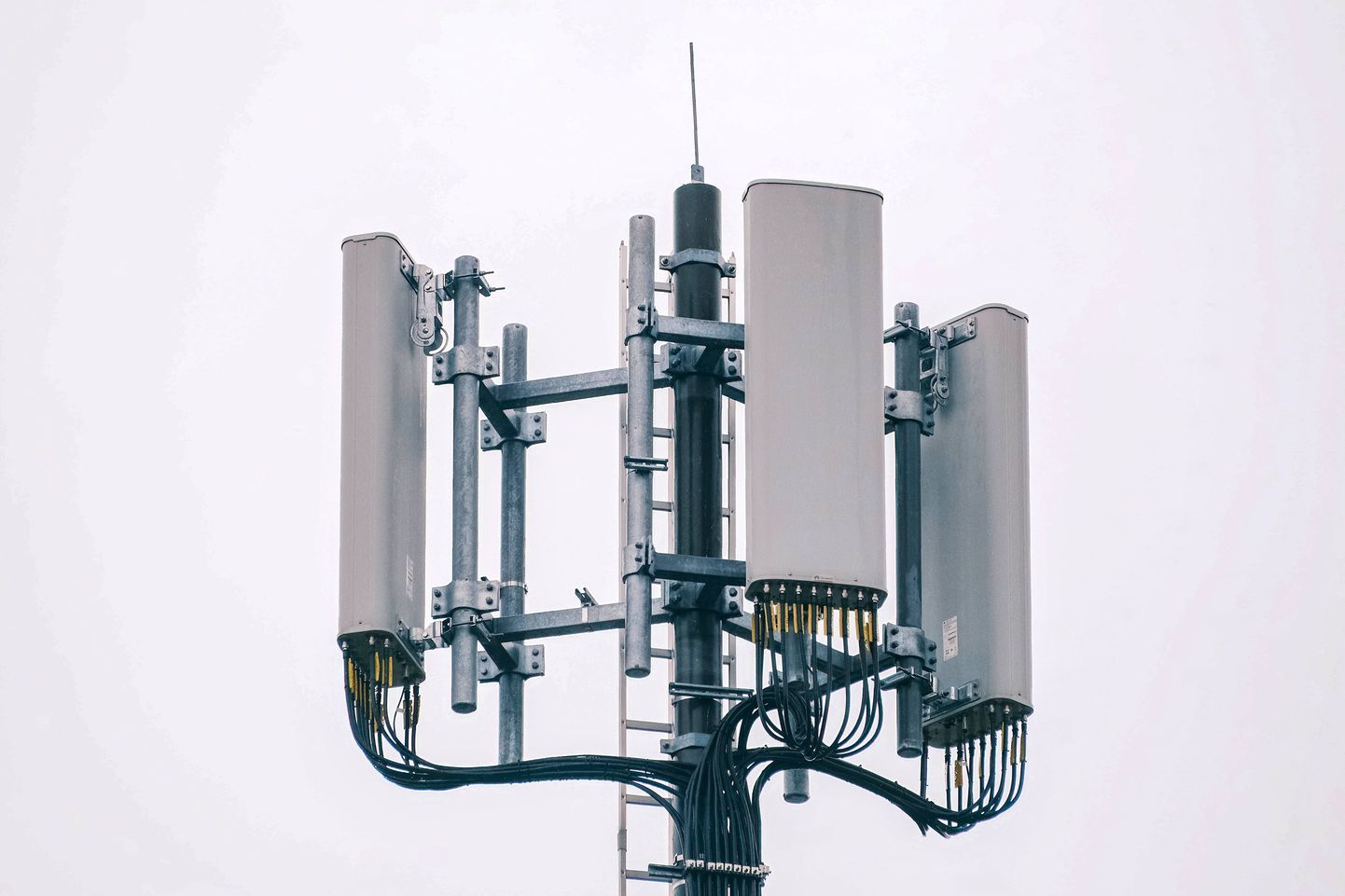 4G, 5G ja 6G antennidega mobiilimast Saksamaal. Kui praegu peab see kiirgama palju igas suunas, siis väiksemate mastide ja tihedama vürguga saaks energiat kokku hoida nii võrgus kui mobiiltelefonis, näitasid teadlased.