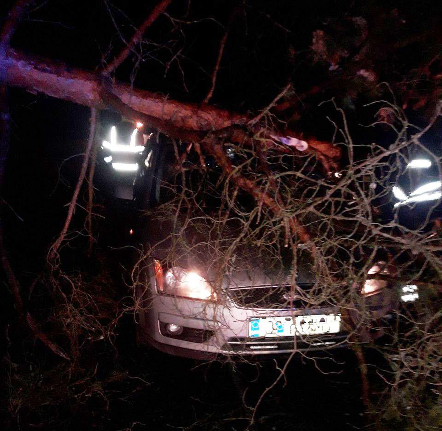 Kolmapäeva õhtul kukkus Tartu vallas Salu külas puu sõitva auto peale, õnneks pääsesid sõitjad vaid ehmatusega. 