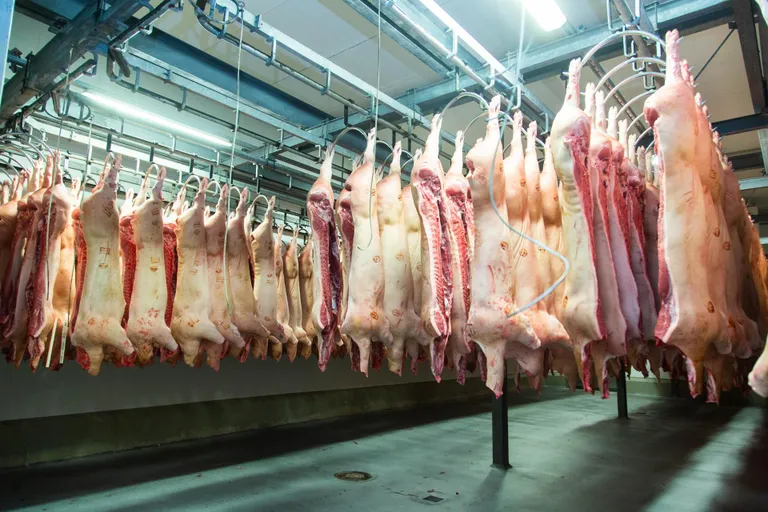 Eesti tootjad varustavad koduturgu sealihaga vaid 75 protsendi ulatuses.