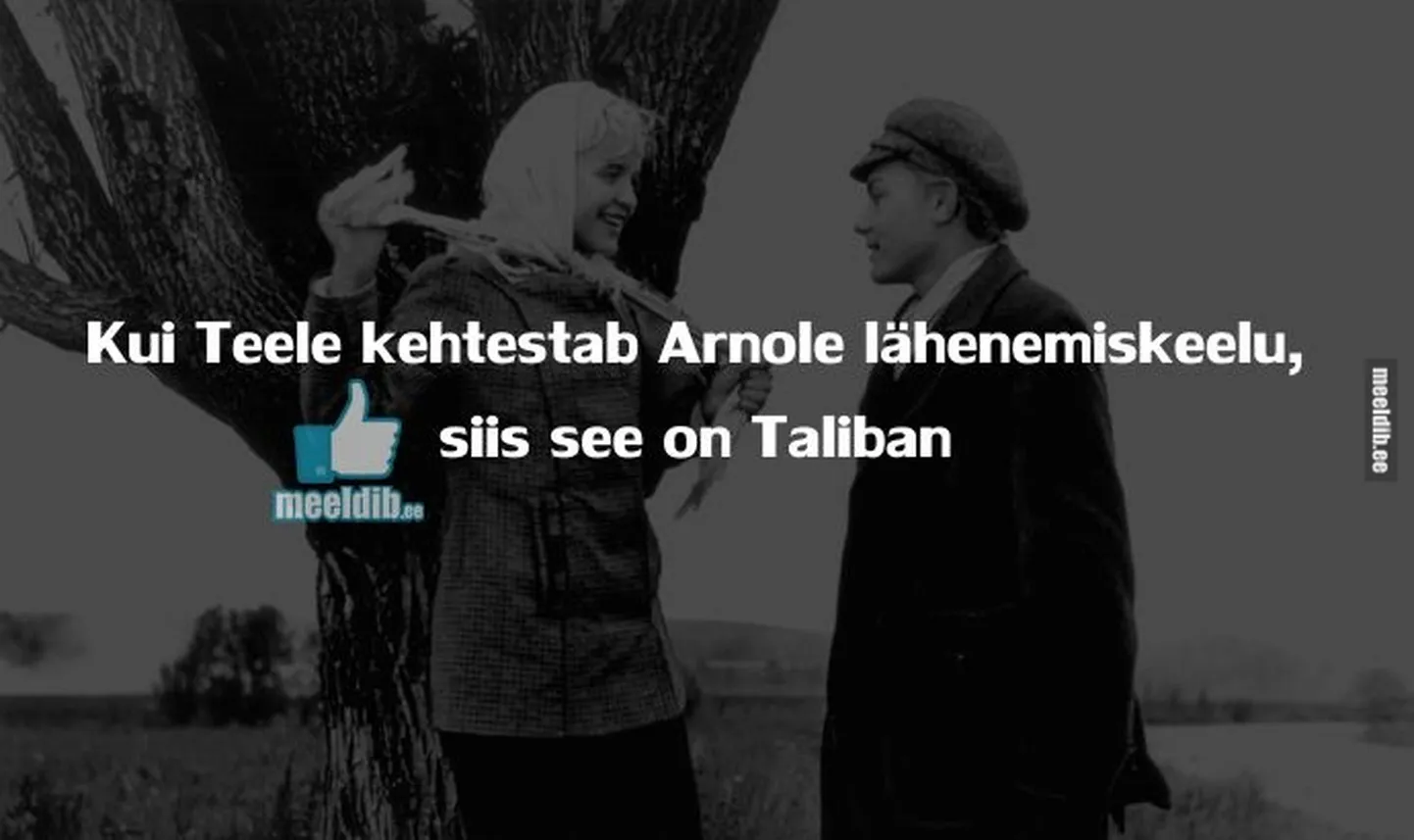 Artikli foto