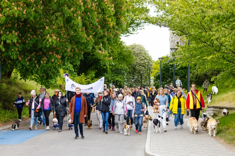 Heategevuslik rongkäik Käpakõik