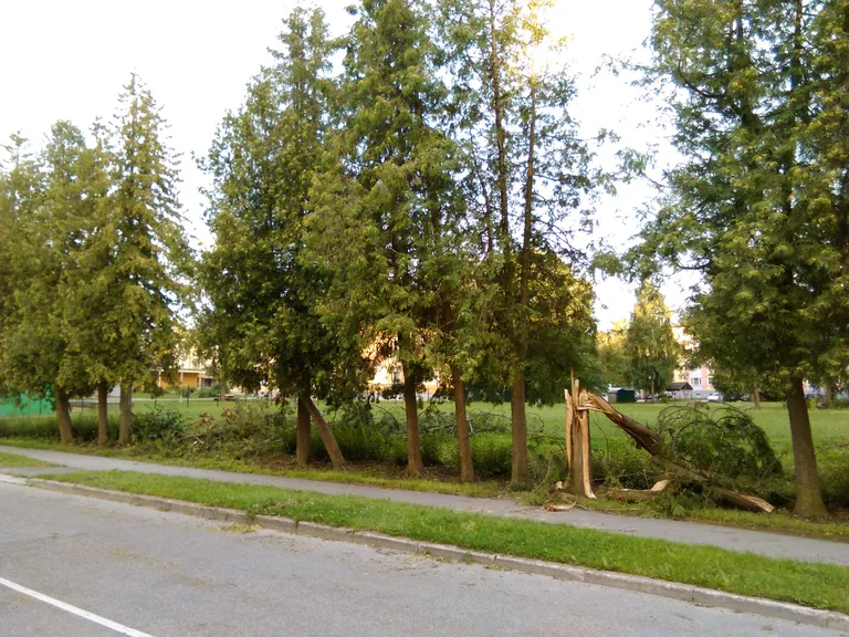 Pika ja Kungla tänava ristmik.
