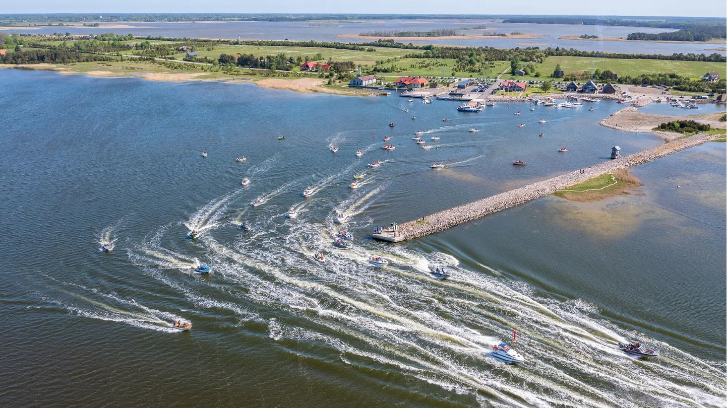 Tuulekala festival.