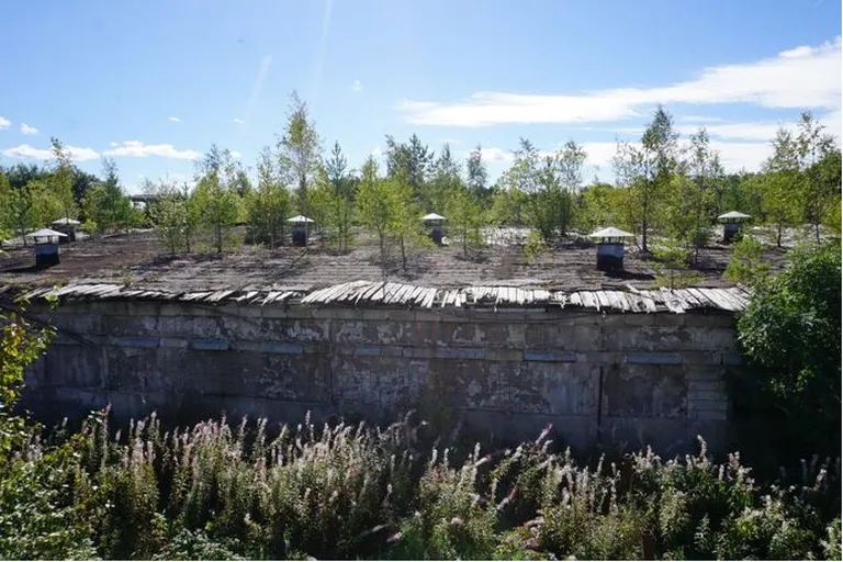 Hooldamata lamekatus