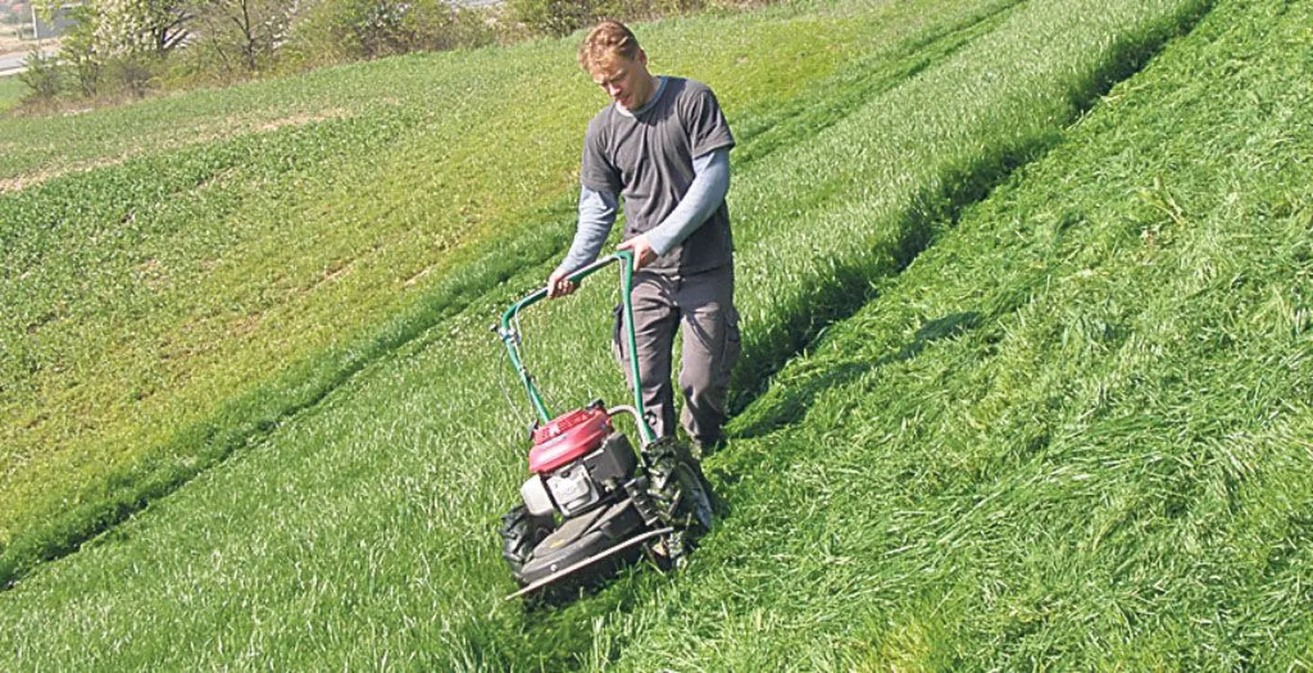 Kõrge rohu niidukiga saab niita kaldapealsetelgi.