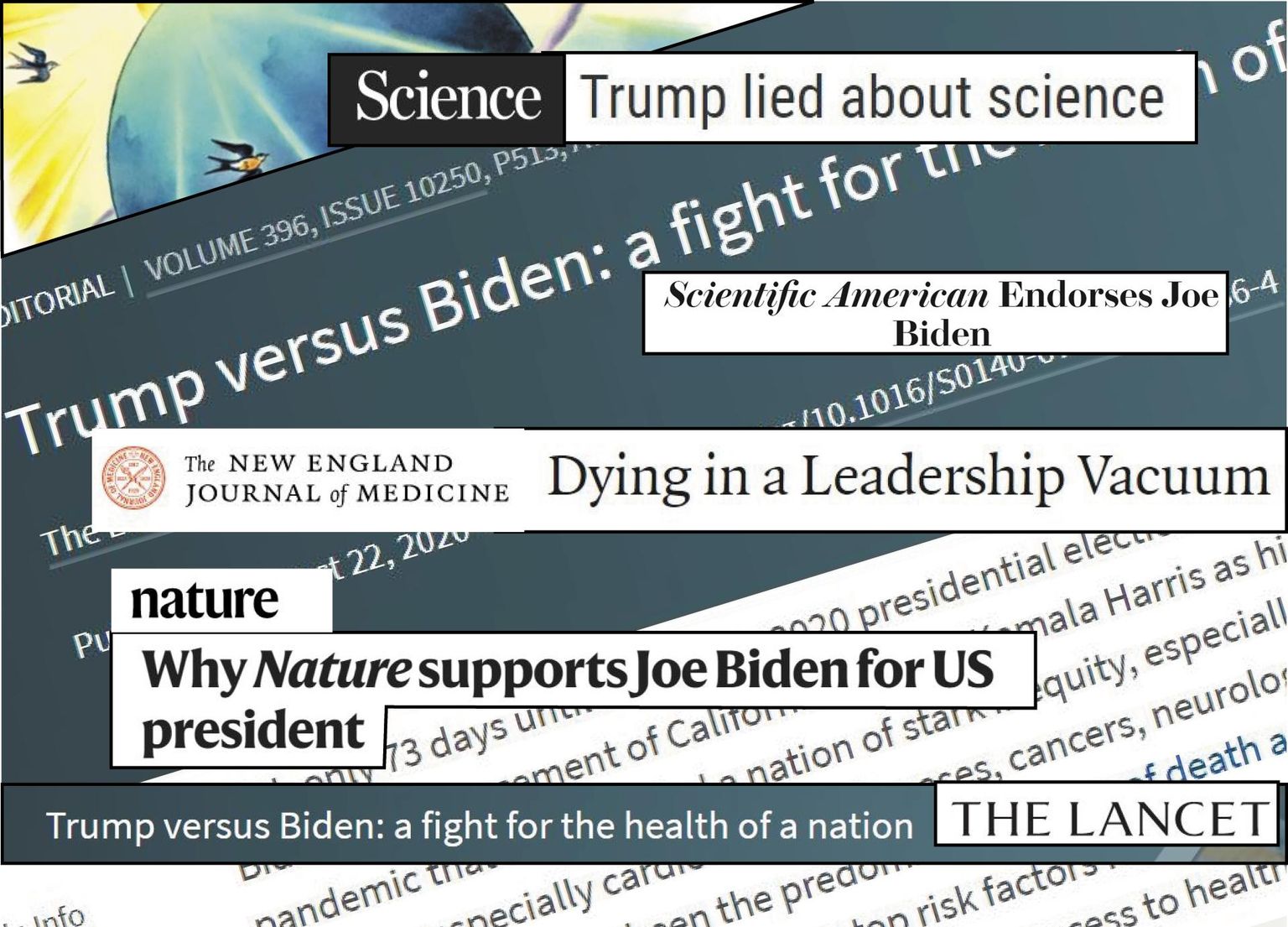 Viimastel nädalatel on mitmed tippajakirjad tulnud välja juhtkirjadega, milles kutsutakse otsesemalt või kaudsemalt valima Joe Bidenit. 