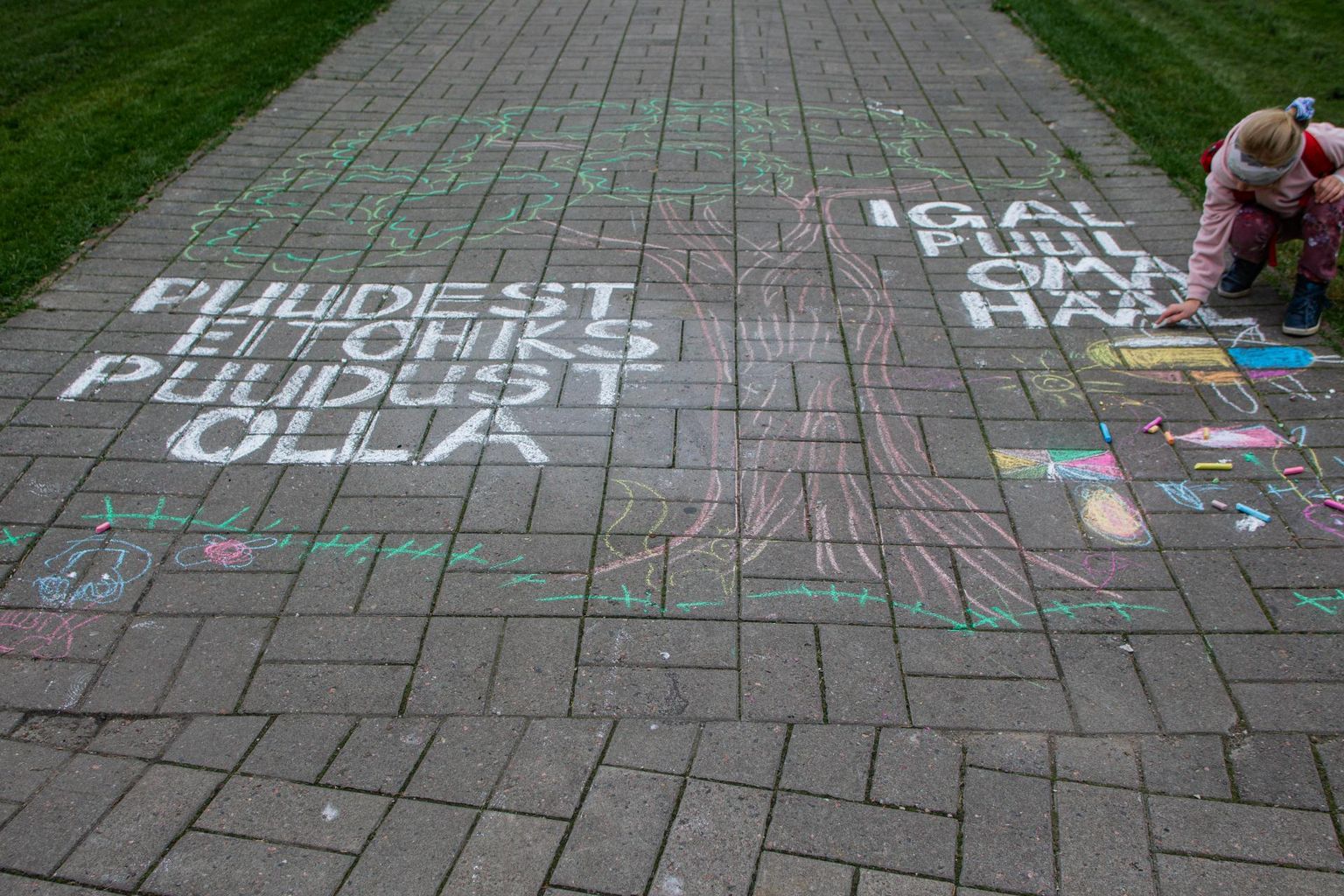 Asfaltile kirjutatud sõnum Süku ehituse vastu olevalt « Päästame Tartu Keskpargi» meeleavalduselt.