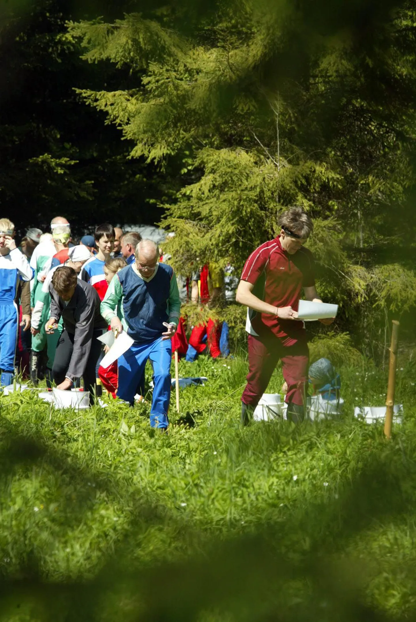 Orienteerumine. Foto on illustreeriv.