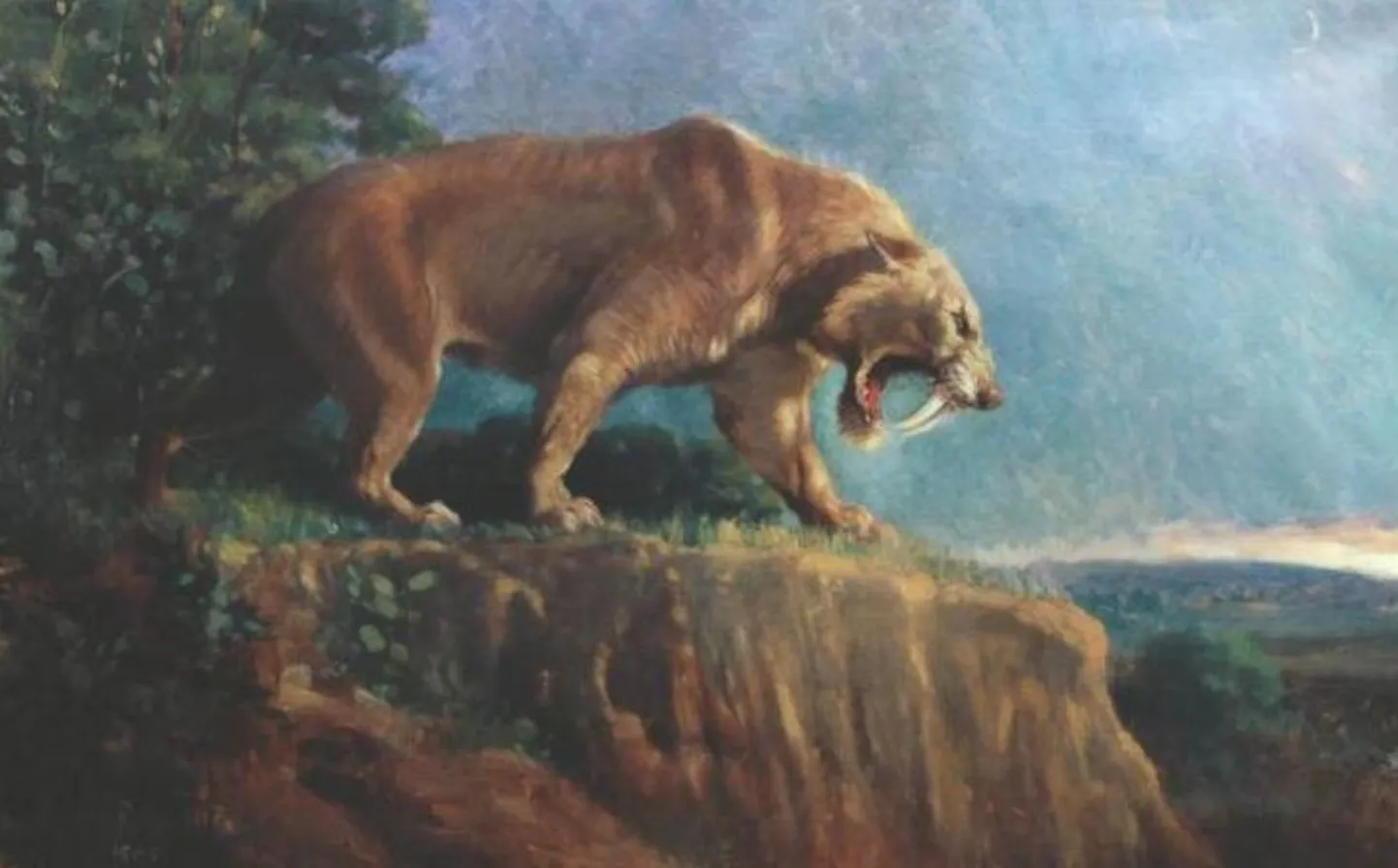 Kunstnik Charles Knighti maal mõõkhambulisest tiigrist