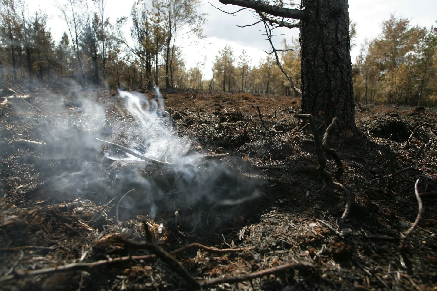 Rabapõleng. Pilt on illustratiivne.