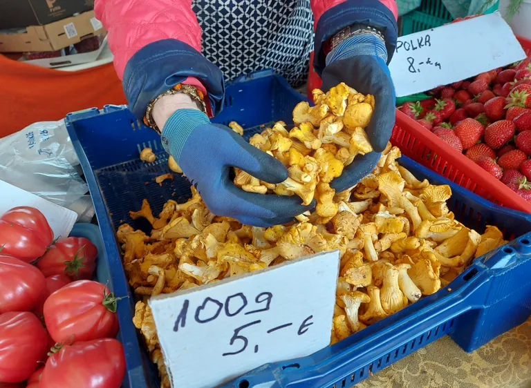 Kukeseened 8. juulil Tartu turul.