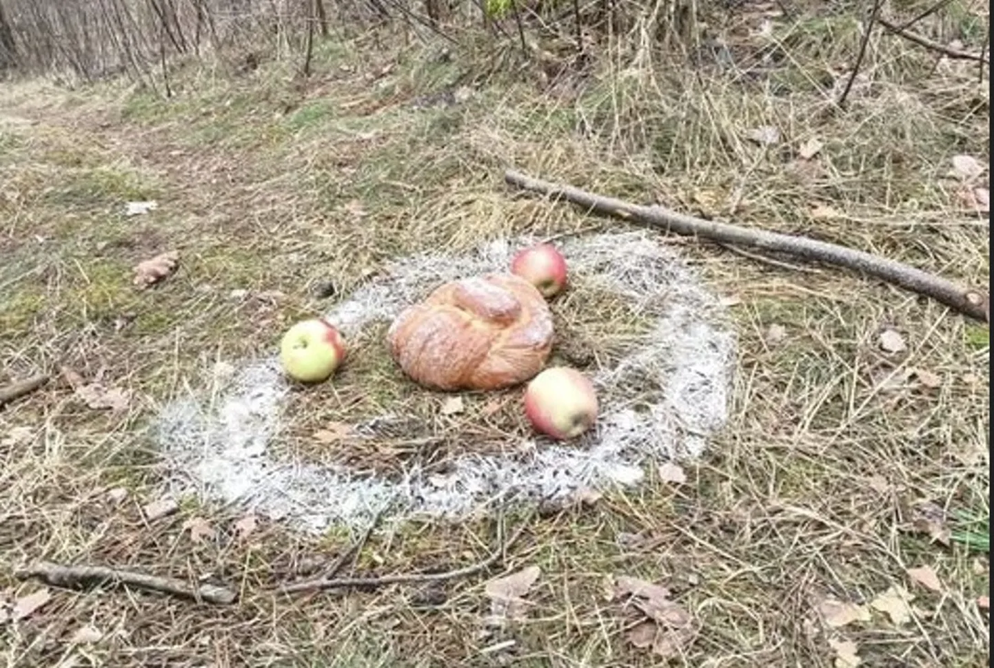 Raksta foto
