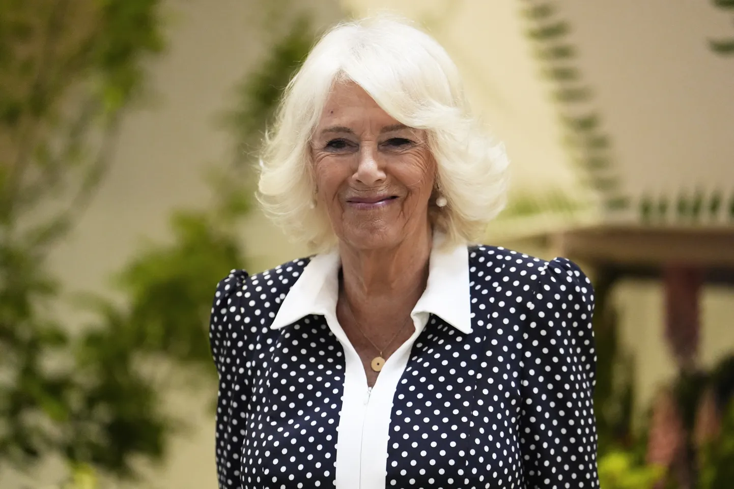 Ühendkuningriigi kuninganna Camilla