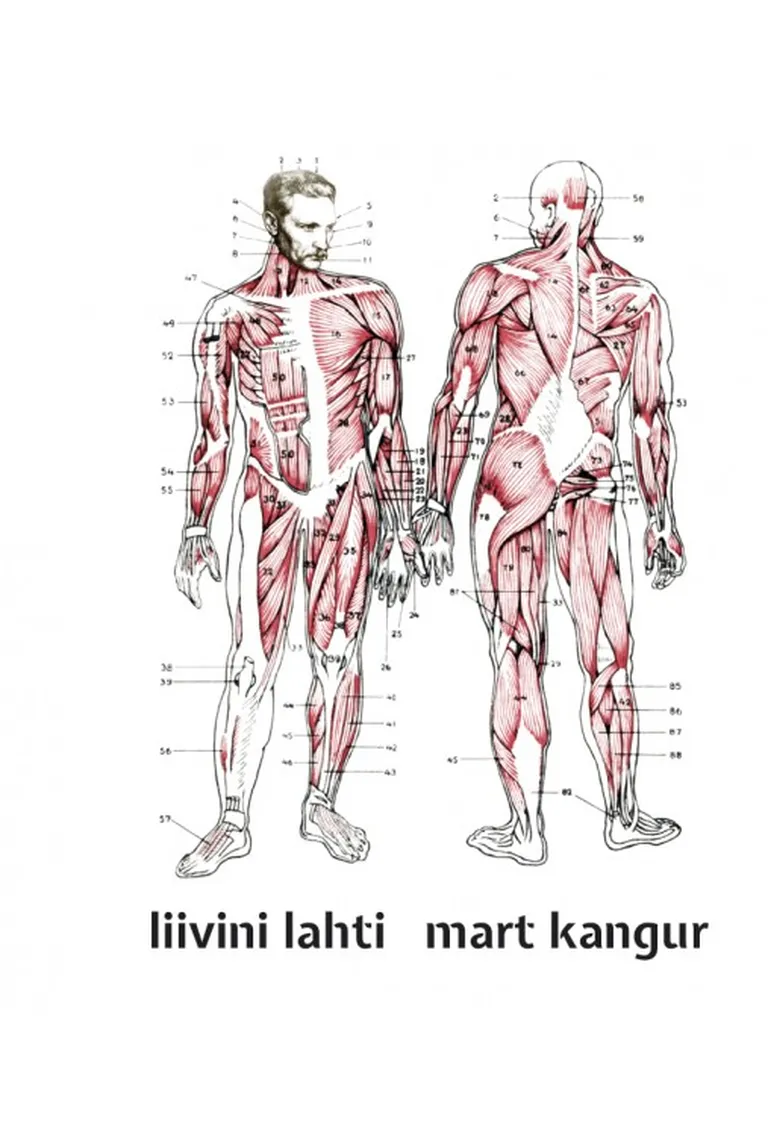 Mart Kanguri kolmas luulekogu «Liivini lahti».