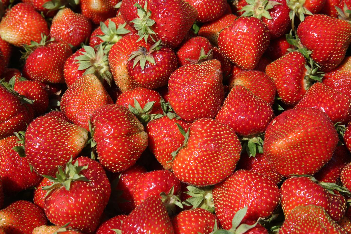 Mullu jõudsid avalikkuse ette konkreetsed näited ammuse kahtluse kohta, et turgudel müüakse võõramaiseid maasikaid kohalike pähe. 