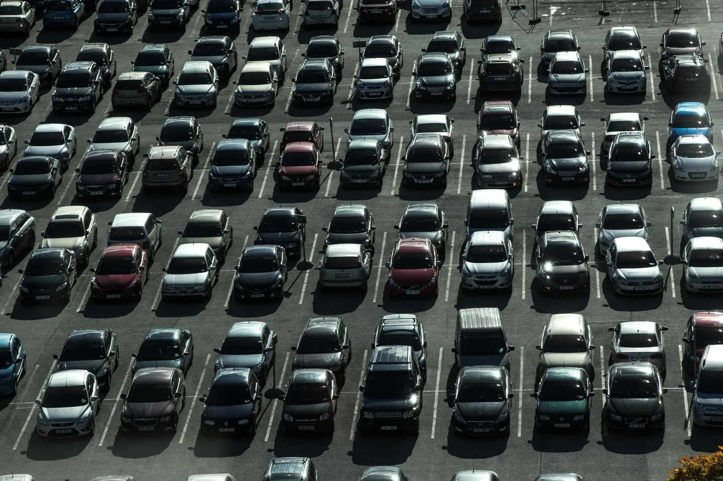 Enamus uusi autosid ostetakse liisinguga. Foto on illustratiivne.