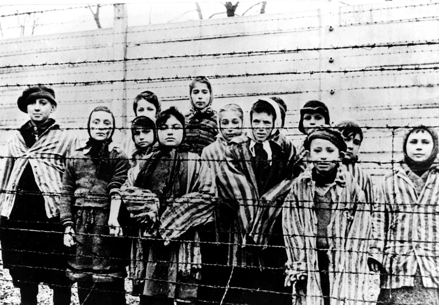 Lapsed, kes jäid ellu Auschwitzi (Oświęcimi) koonduslaagris. Pilt on tehtud jaanuaris 1945.