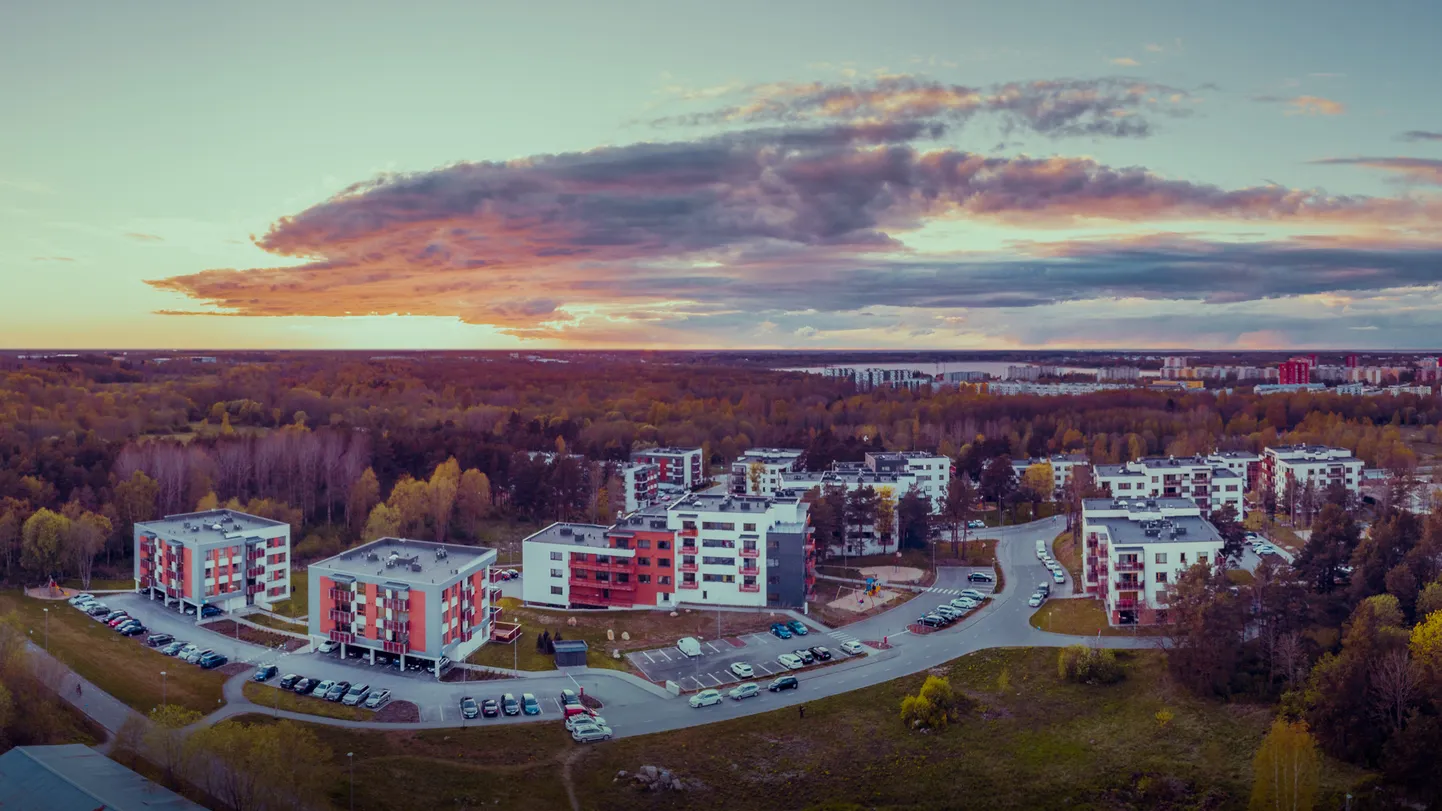 Фото статьи