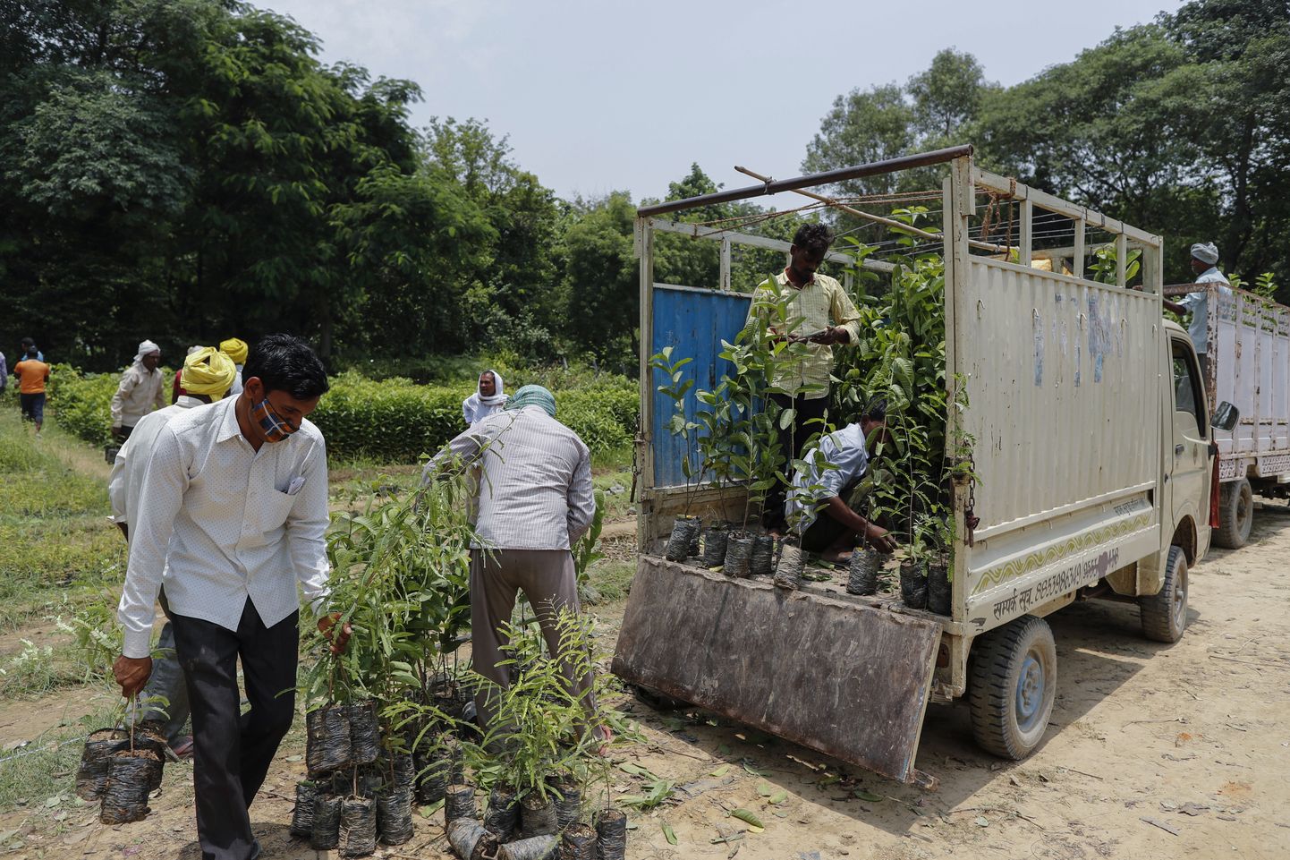 Puude istutamise kampaania India Uttar Pradeshi osariigis.