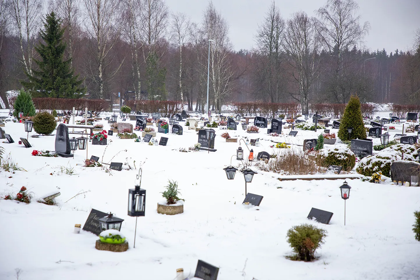 Sillaotsa kalmistul  omaste haudadel käijad on öelnud kalmistuvahile hea töö eest kiidusõnu, mis kinnitab, et kalmistu on korras hoitud.