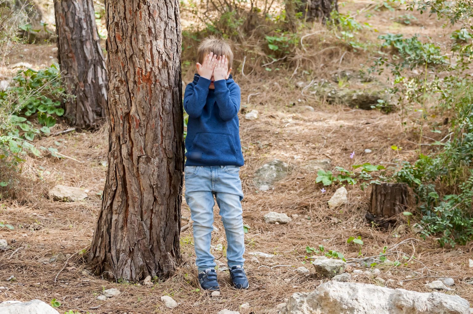 Страшная находка в лесу. Снимок иллюстративный.