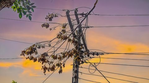 "Sadales tīkls" sadarbosies ar igauņiem plaša mēroga bojājumu novēršanā