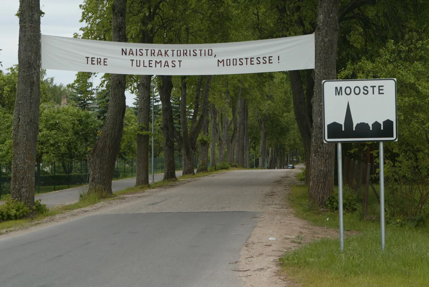 Mooste