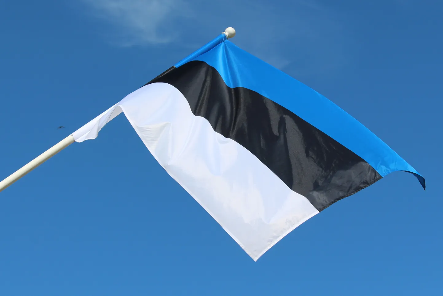 Eesti lipp.