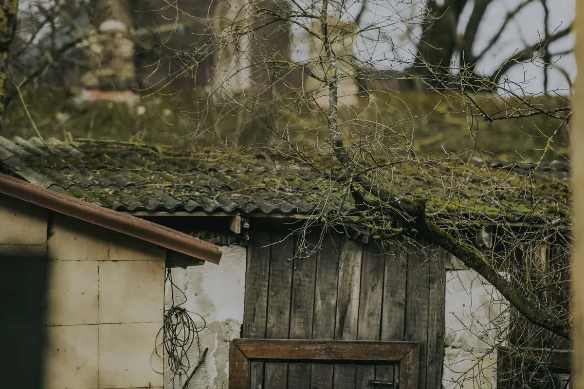 Фото статьи