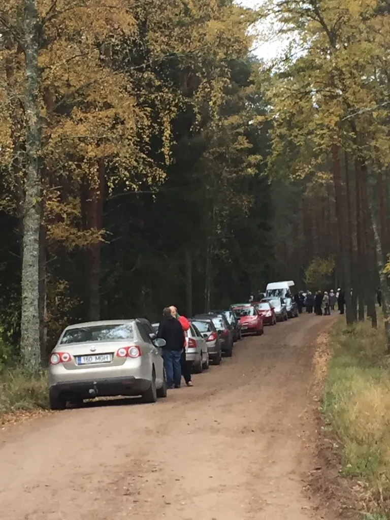Metsaalune on autosid täis.