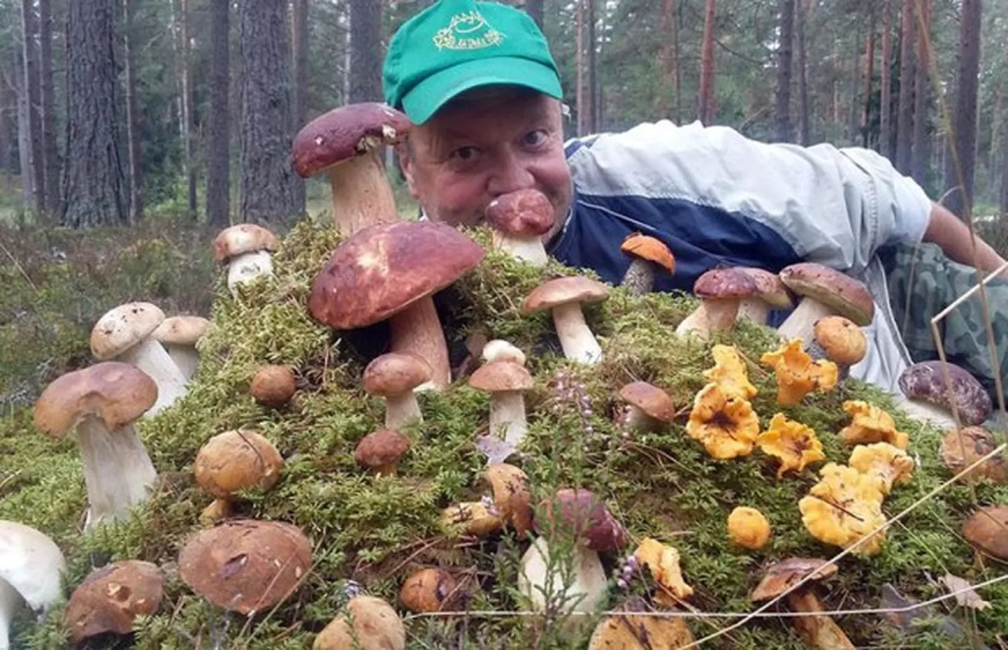 Raksta foto