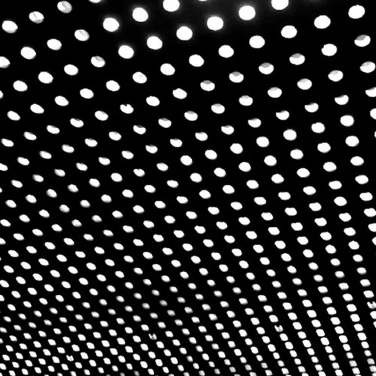 Beach House «Bloom»