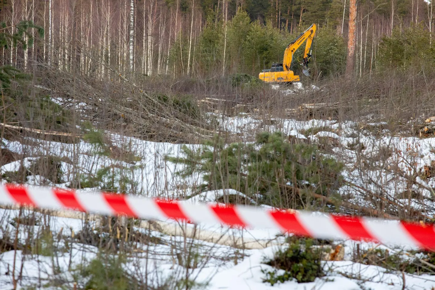 Kaevanduse omanik jõudis läinud aasta märtsis juba osa metsa ja võsa karjääri maalt maha võtta, enne kui kohus peatas esmase õiguskaitse korras kaevandamisloa.