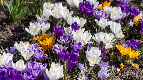 Kevadine soojus püsib