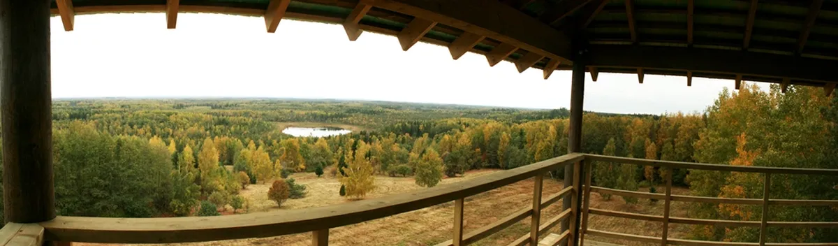 Фото статьи