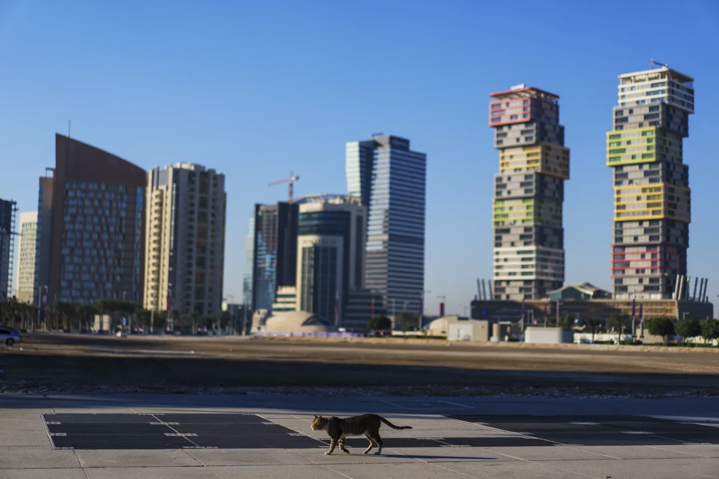Katari Doha tänavakass