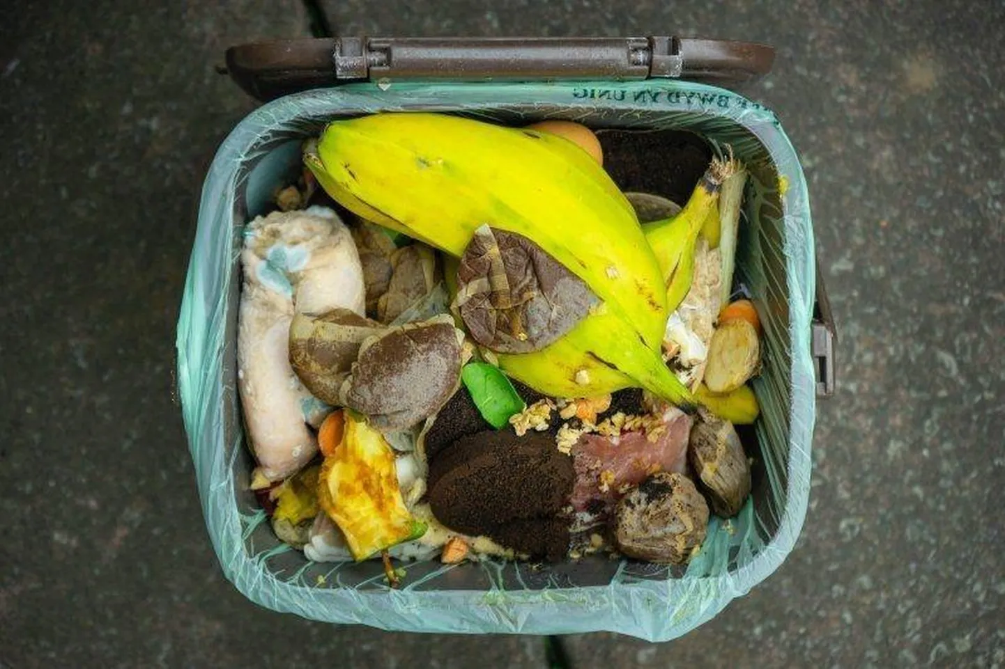 Biojäätmed moodustavad keskkonnaministeeriumi andmetel praegu segaolmejäätmetest ligi kolmandiku.