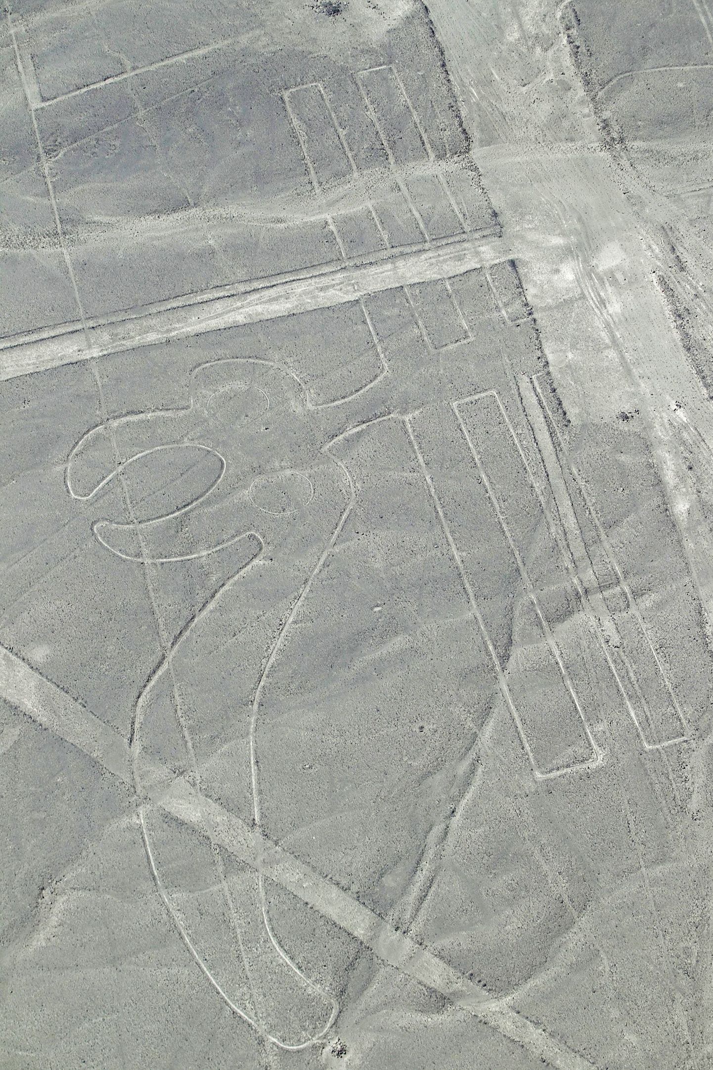 Nazca kõrbes asuv kondorit kujutav pinnastruktuur