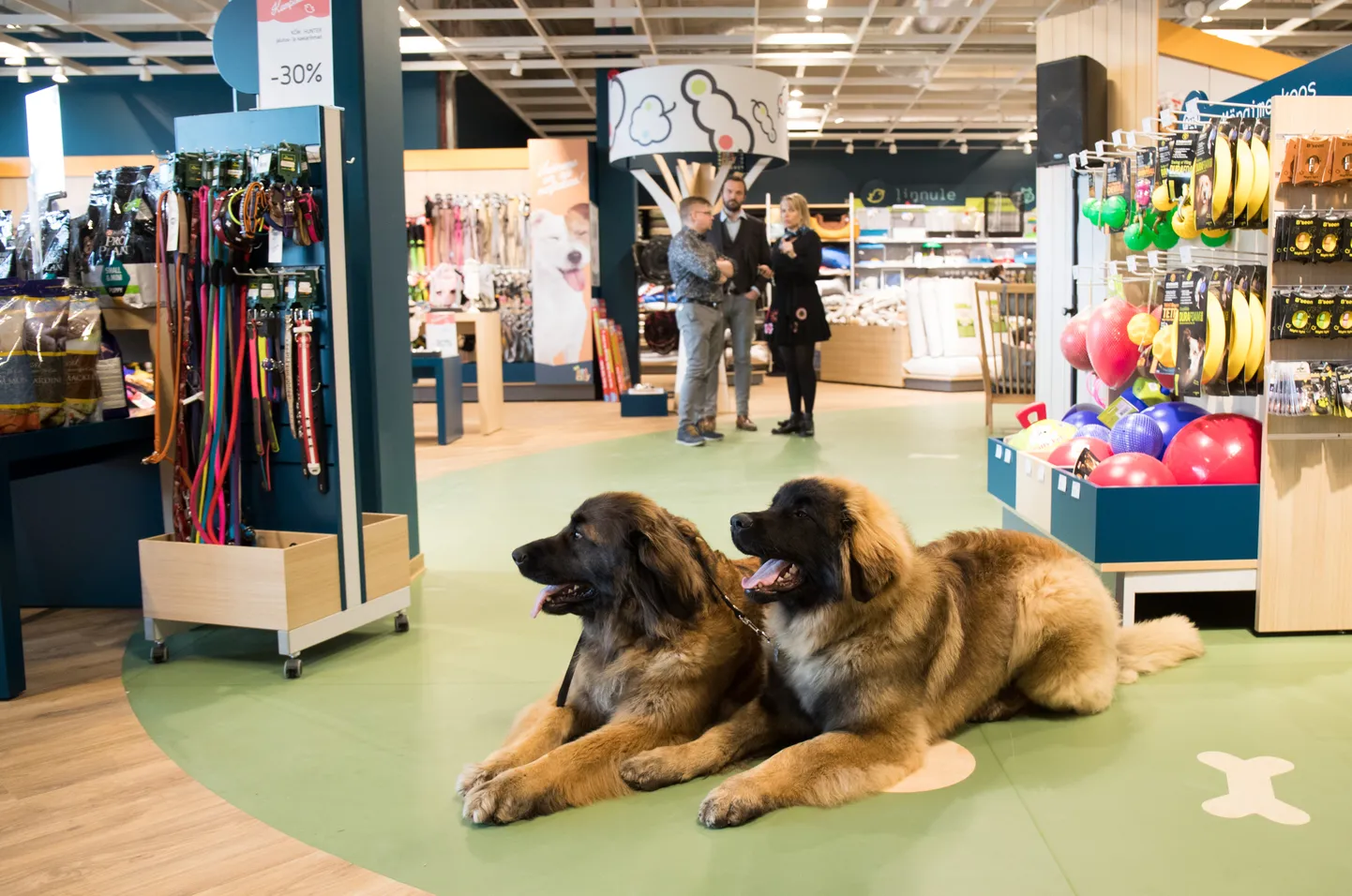 PetCity loomapoe avamine Tähesaju citys.