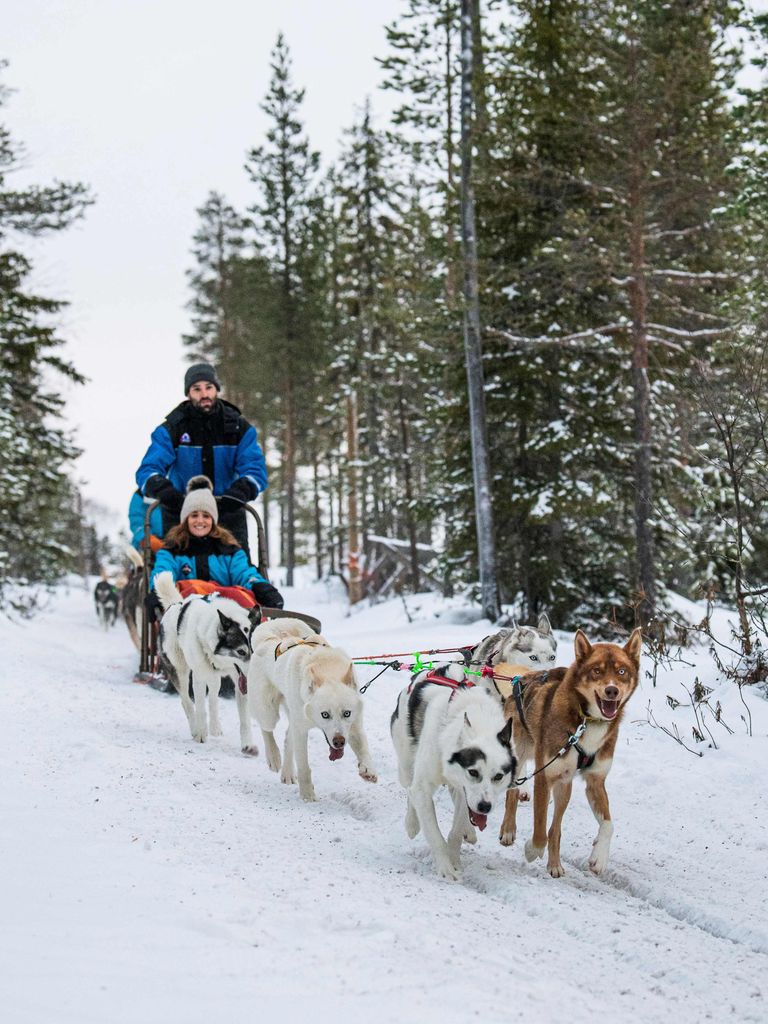 Turistid Soomes Lapimaal Rovaniemis koerasafaril.