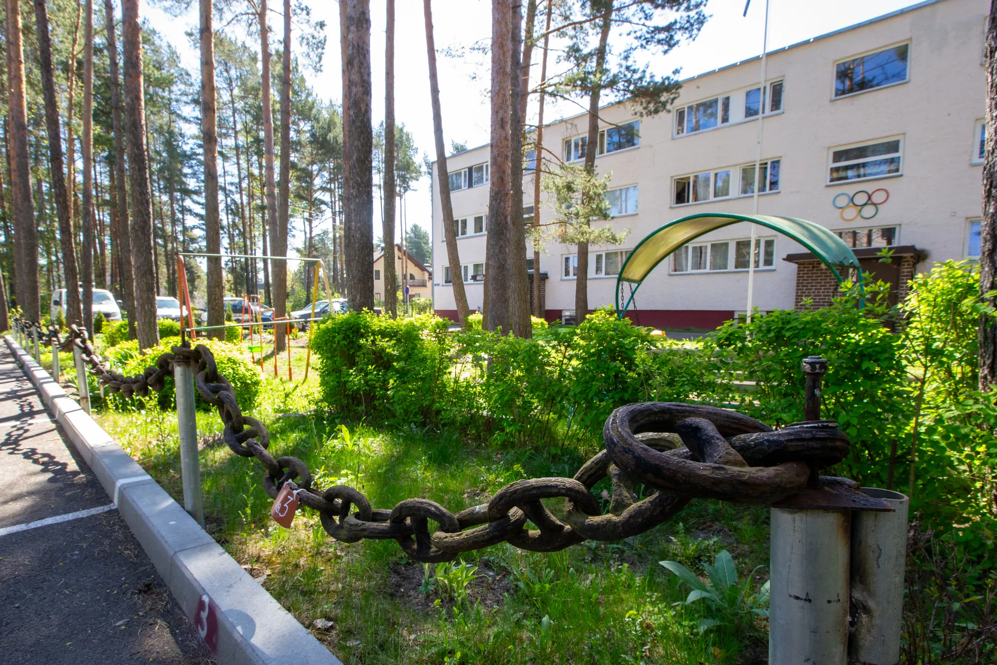 Фото статьи