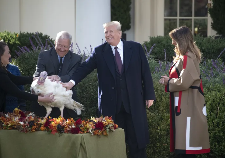 Помилование индейки Дональдом Трампом в 2018 году.
