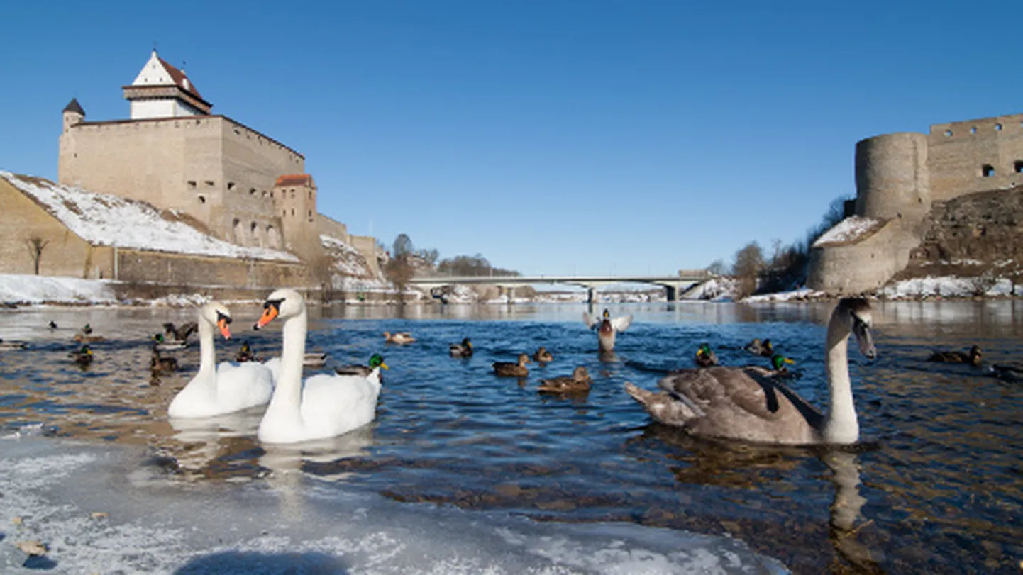 Eestit ja Venemaad eraldav Narva jõgi on talviselt rahulik. Siseminister Ken-Marti Vaher ennustab, et mida lähemale tulevad sügisesed kohalikud valimised Eestis, seda tormilisemaks muutub Vene eriteenistuste mõjutustegevus eelkõige Ida-Virumaal.