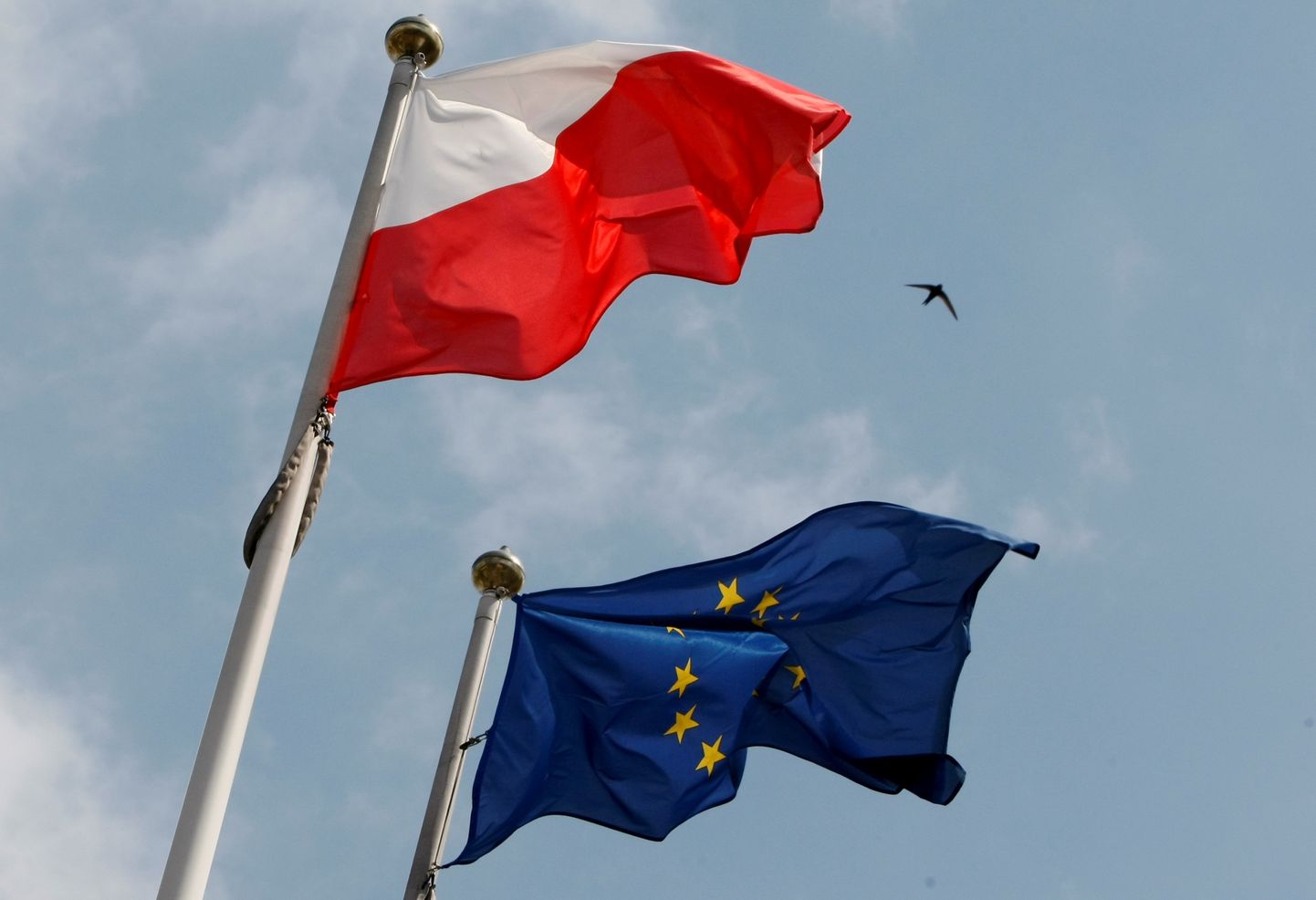 Poola ja Euroopa Liidu lipp. Foto on illustratiivne.