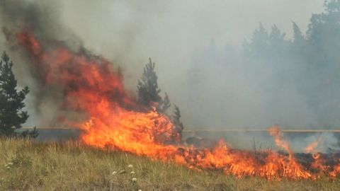 «Огненный шторм». В Челябинской области огонь от лесных пожаров перекинулся на села